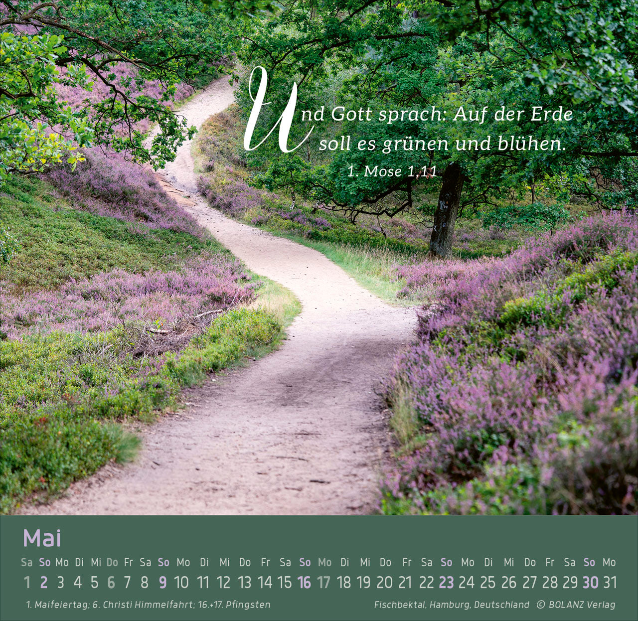 fontis-weg-licht-leben-2027-aufstellkalender-tisch image 7