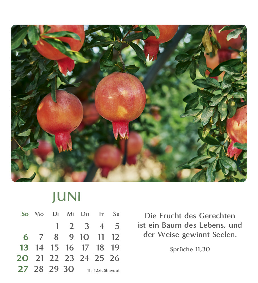geliebtes-israel-2027-aufstellkalender-tisch-bibelverse image 7