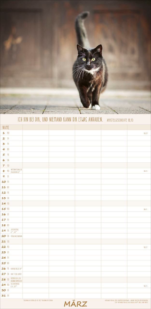 fontis-kalender-katzen-anmut-auf-vier-pfoten-familienplaner-2027 image 5