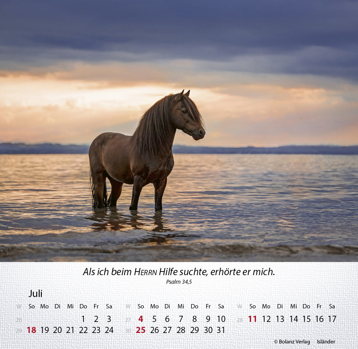 fontis-kalender-pferde-2027-tischkalender-mit-bibelversen image 8