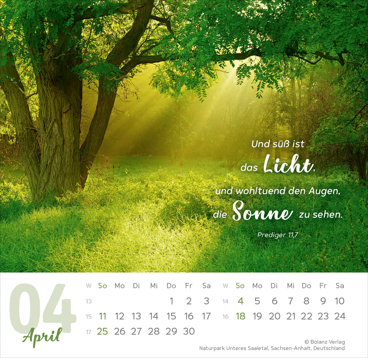 fontis-meine-zeit-2027-aufstellkalender-tischkalender-foto image 6