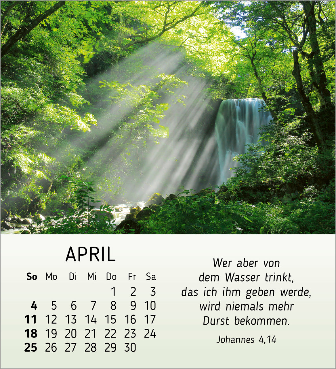 fontis-sch-nheit-des-lichts-2027-aufstellkalender-bibelworte image 6