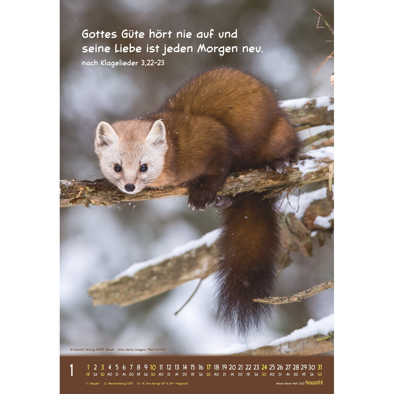 fontis-meine-kleine-welt-2027-wandkalender-f-r-kinder-tierfotos image 3