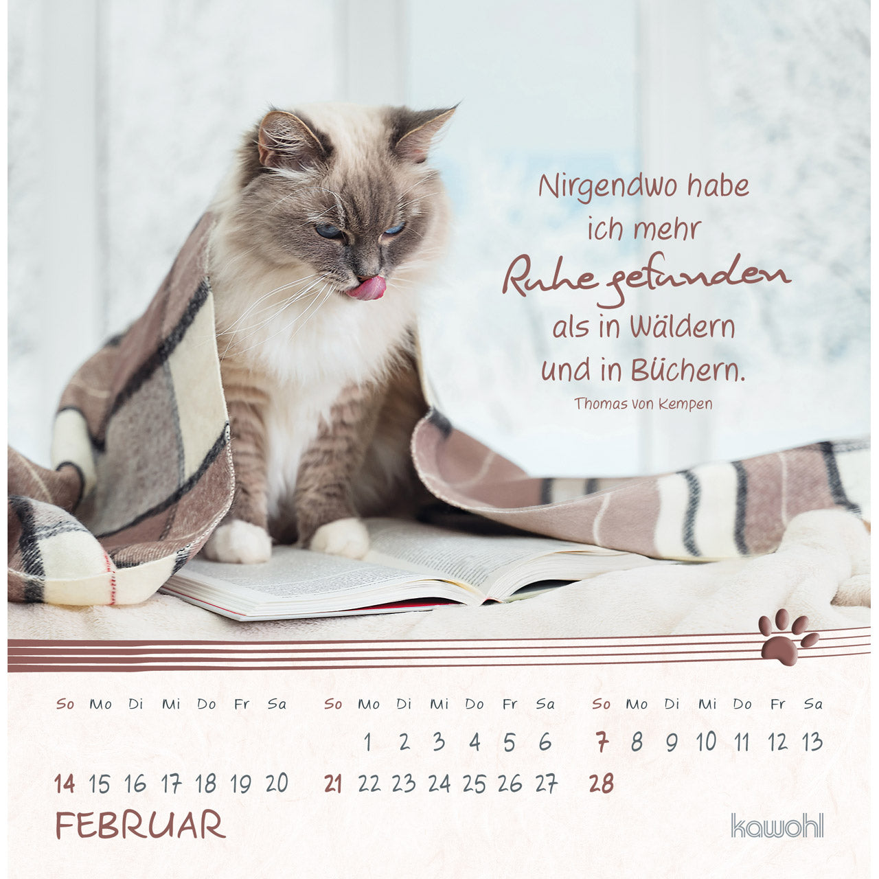 fontis-kalender-kleine-katzen-tatzen-2027-postkartenkalender-16x16-cm image 4