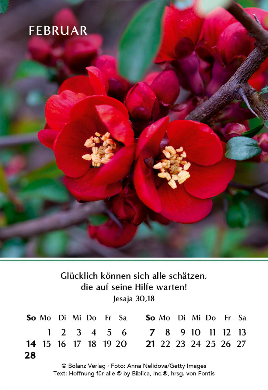 fontis-kalender-ein-jahr-der-freude-2027-minikalender-blumen image 4