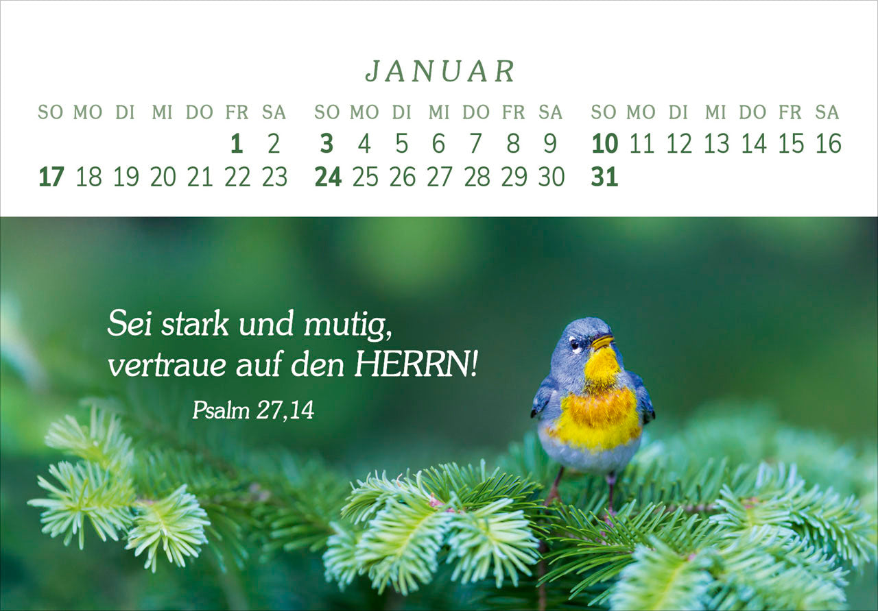 fontis-das-geschenk-der-freude-2027-aufstellkalender-gro-druck image 3