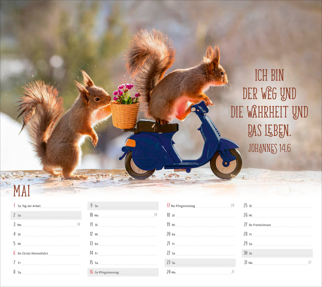 fontis-kalender-du-sorgst-f-r-mich-2027-postkartenkalender-eichh-rnchen image 7