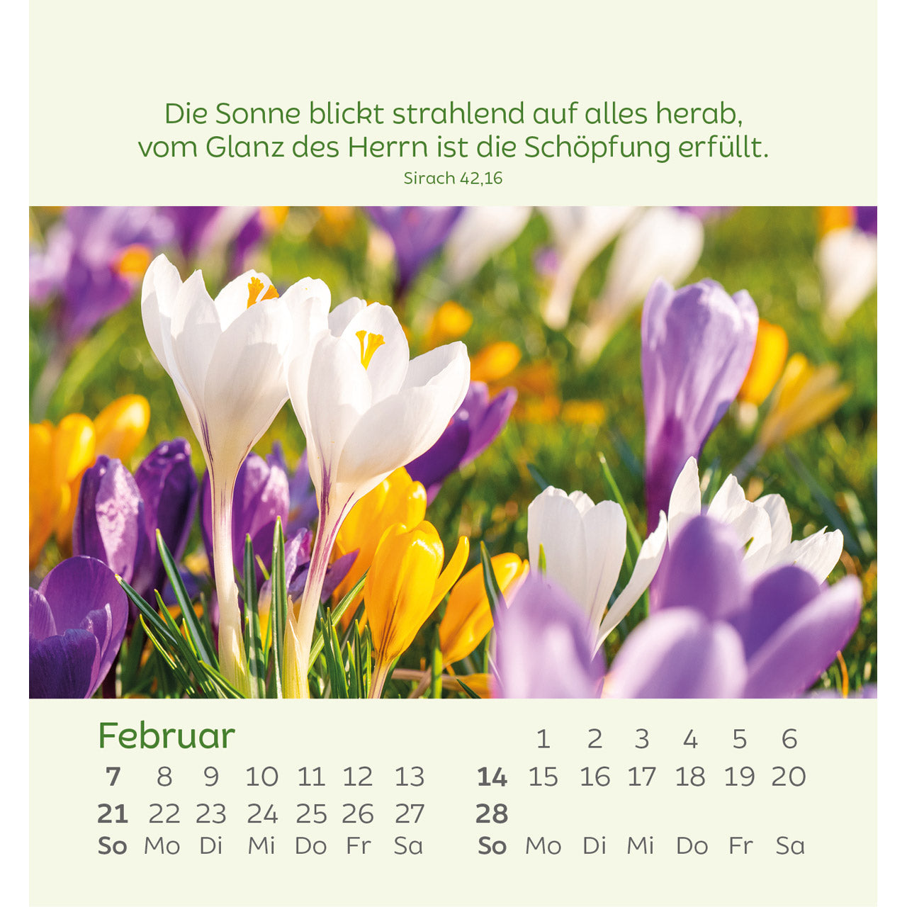 kleine-blumengr-e-2027-aufstellkalender-blumenmotive image 4
