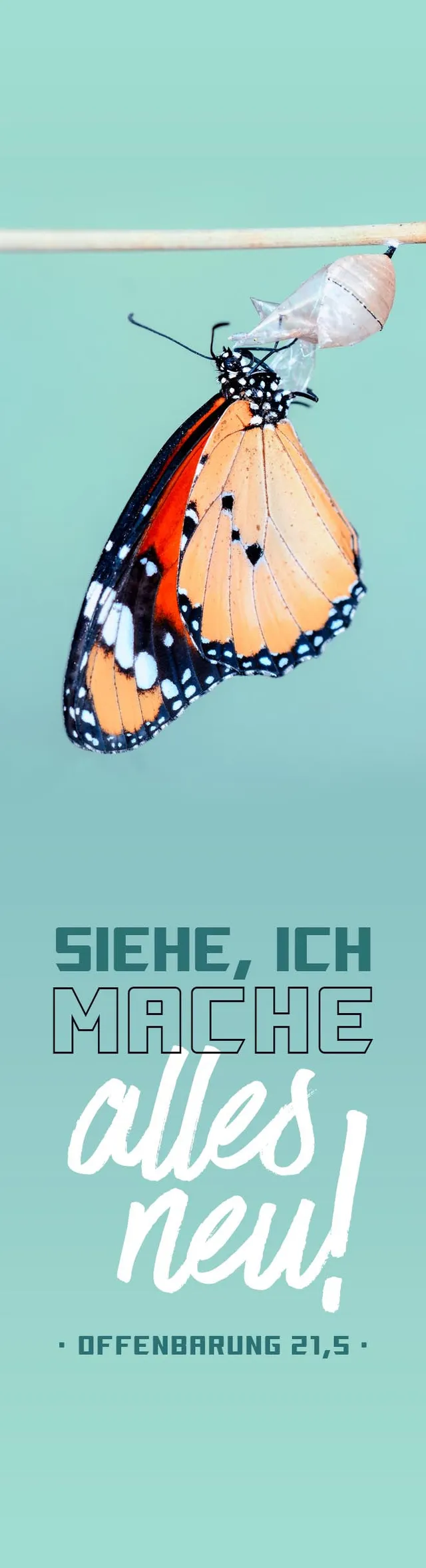 fontis-papeterie-gott-spricht-siehe-ich-mache-lesezeichen-schmetterling image 1