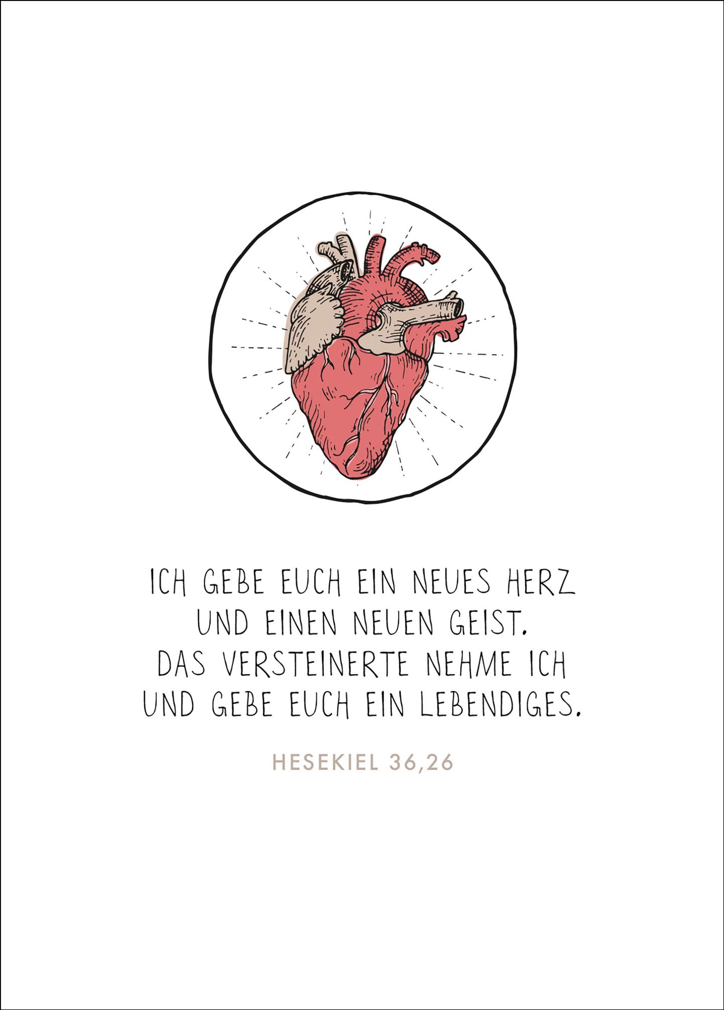 fontis-papeterie-ein-neues-herz-postkarte-hesekiel-36-26 image 1