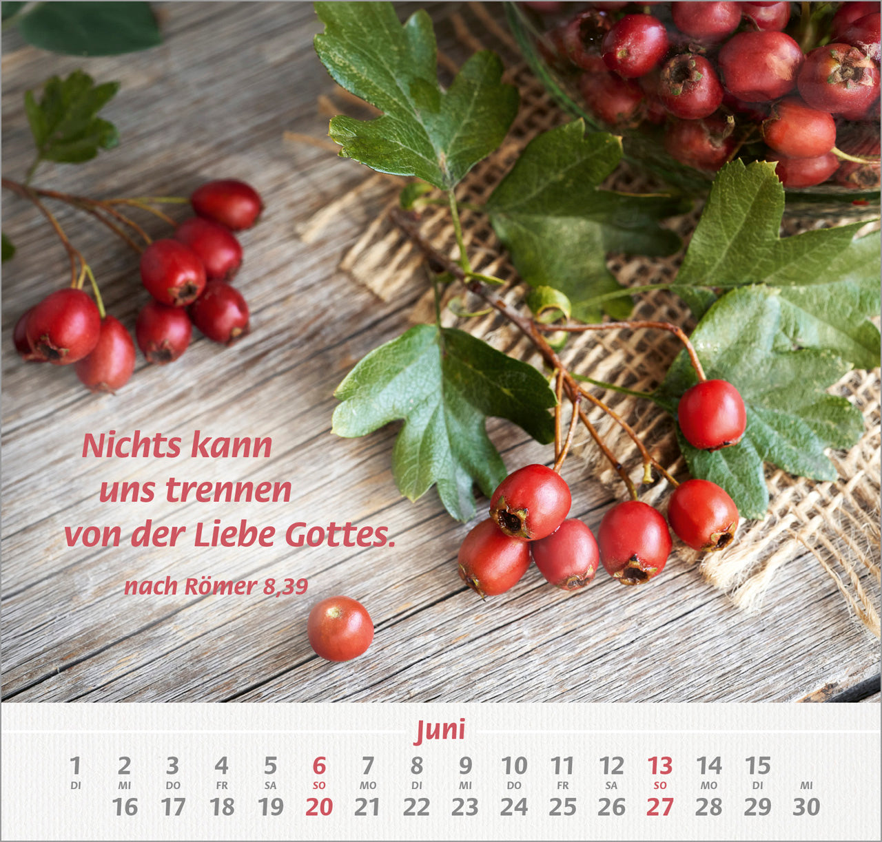 fontis-denn-du-bist-bei-mir-2027-wandkalender-gro-druck-landleben image 8
