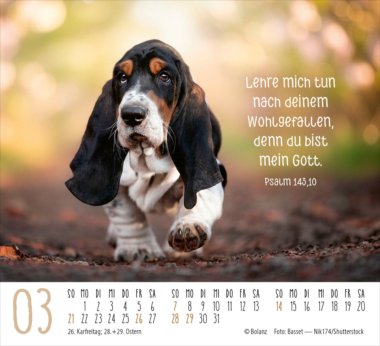 fontis-hunde-2027-minikalender-treue-wegbegleiter-bibelverse image 5