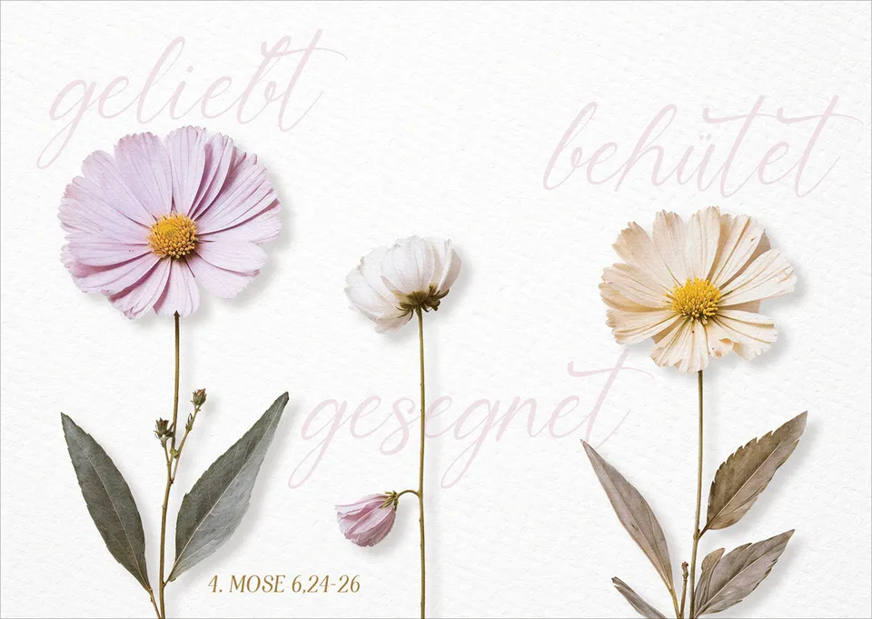 fontis-papeterie-geliebt-beh-tet-gesegnet-postkarten-12er-set-segen image 1