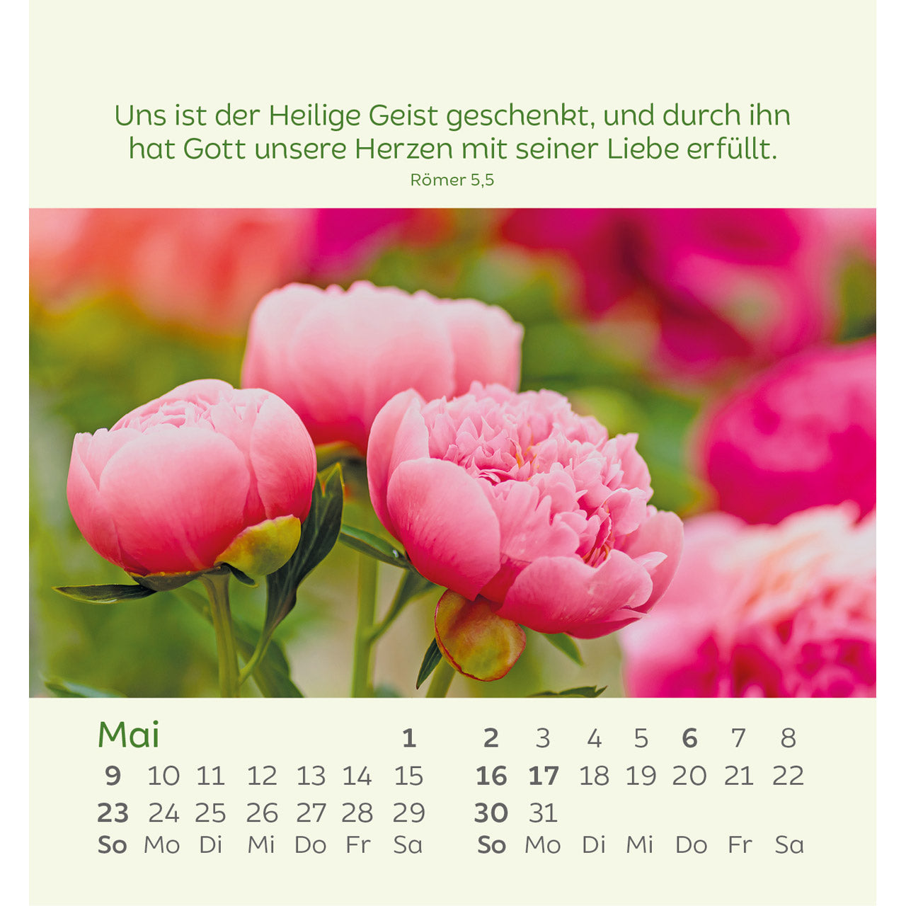 kleine-blumengr-e-2027-aufstellkalender-blumenmotive image 7