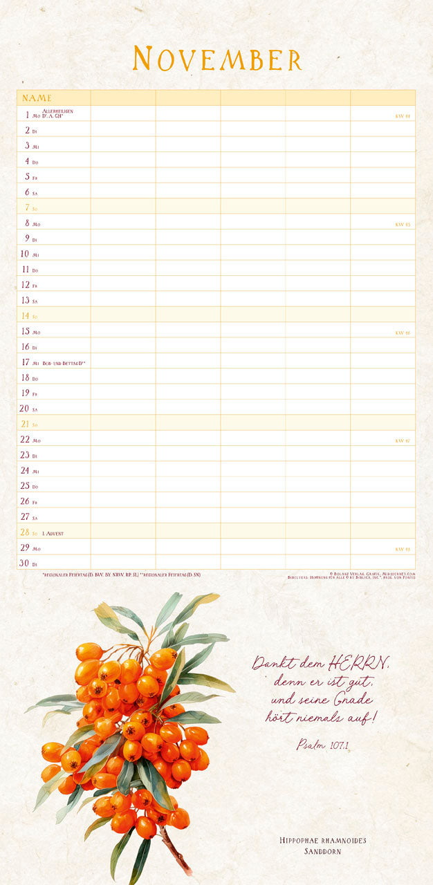 fontis-kalender-naturwunder-des-sch-pfers-2027-familienplaner image 5