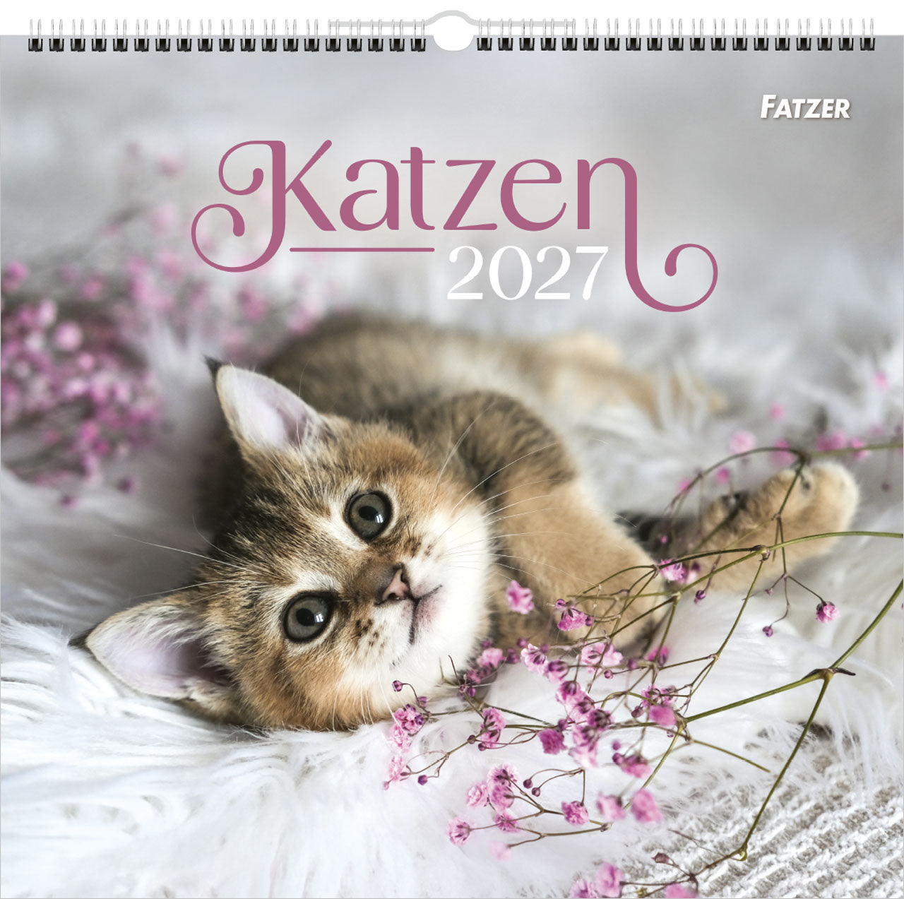 katzen-2027-wandkalender-spiralbindung-bibelvers-33-5x32 image 1