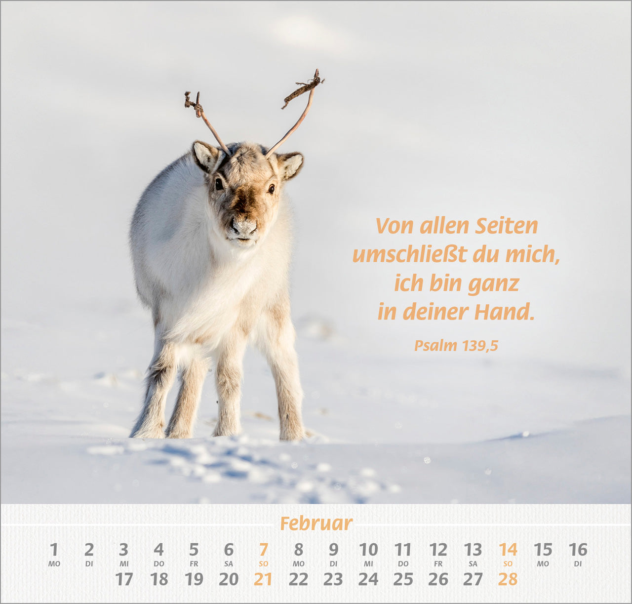 ich-hab-dich-gern-2027-wandkalender-tier-motive-spiralbindung image 4