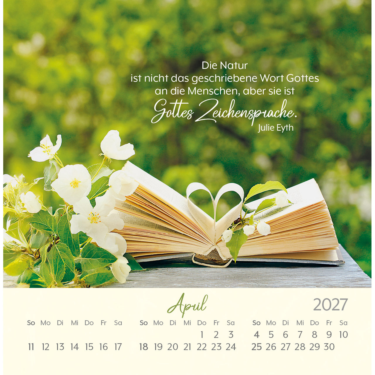 fontis-kalender-herzensw-nsche-2027-postkartenkalender-segensw-nsche image 6