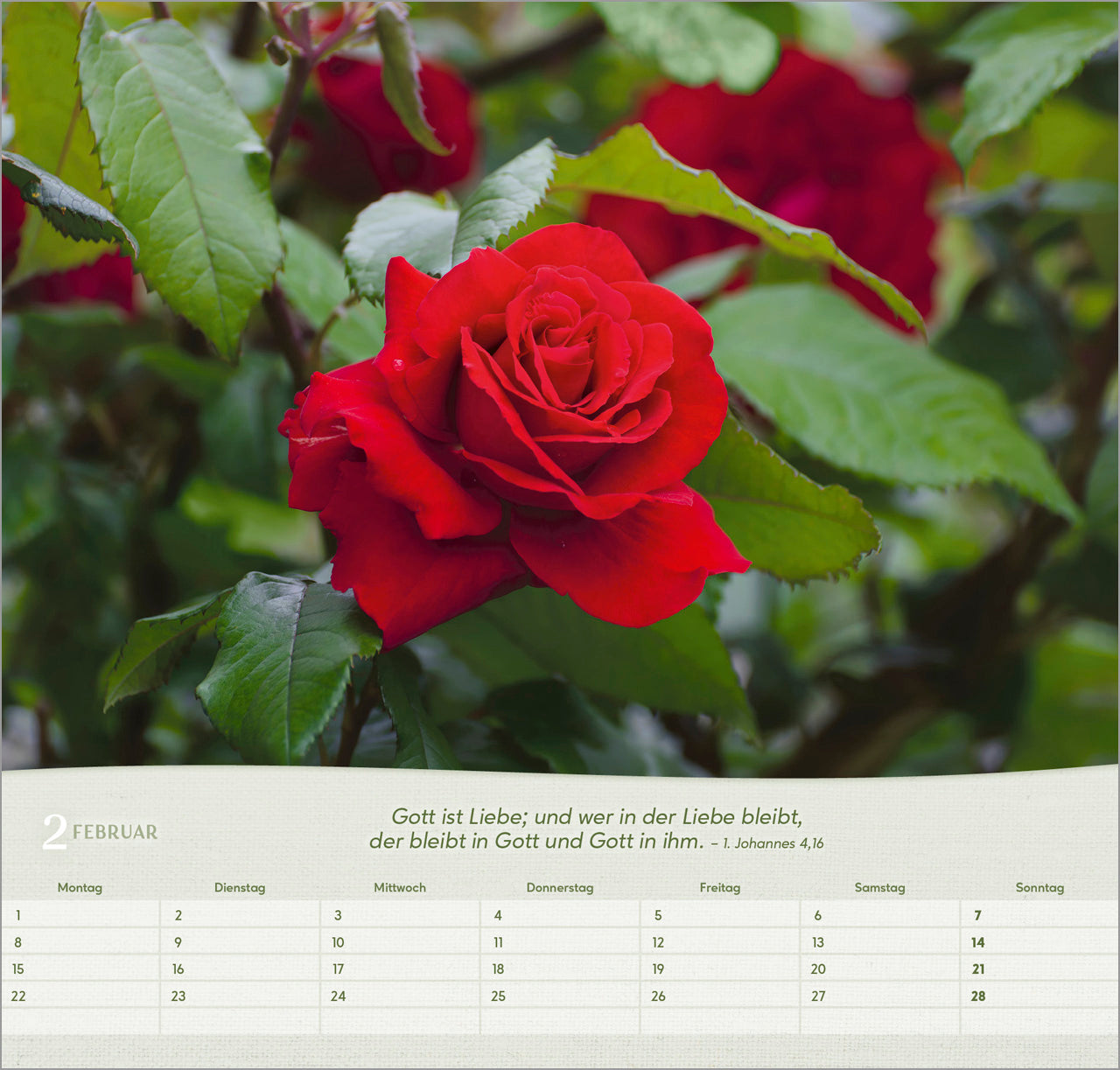bolanz-rosen-2027-wandkalender-spiralbindung-bibelvers image 4