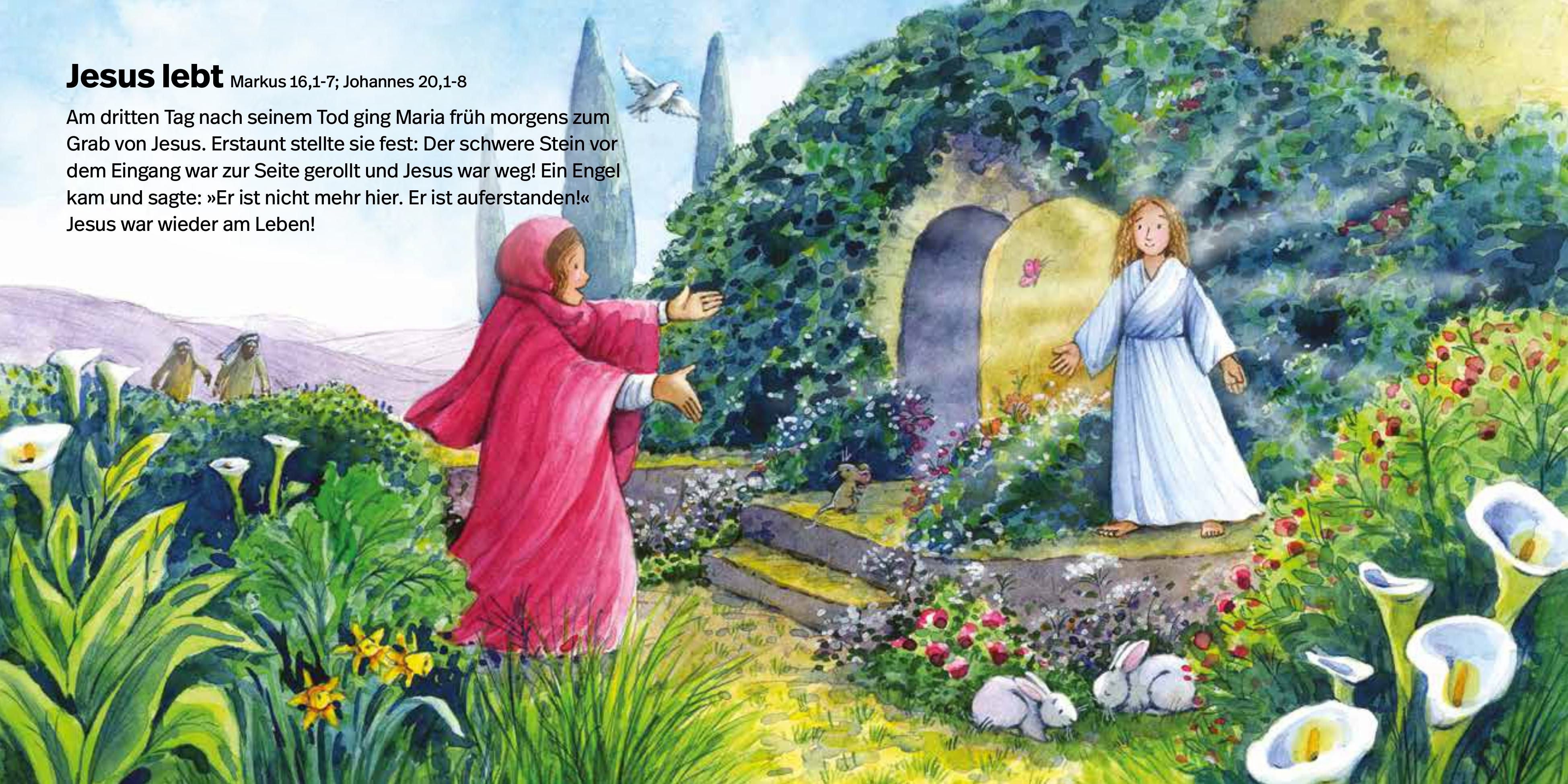 fontis-meine-liebste-kinderbibel-kinderbibel-pappband-ab-2-jahre image 6