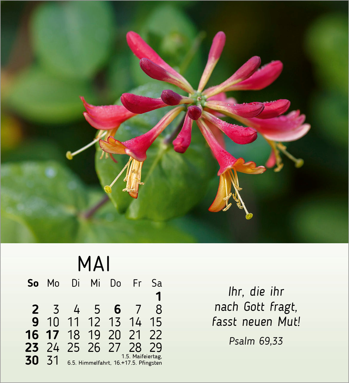 ich-w-nsch-dir-freude-2027-aufstellkalender-blumen image 7