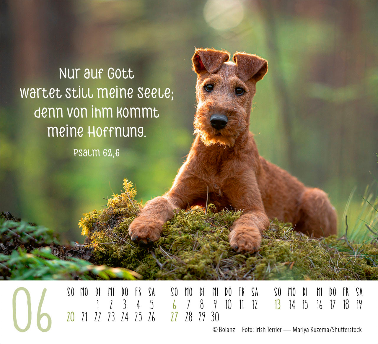 fontis-hunde-2027-minikalender-treue-wegbegleiter-bibelverse image 8