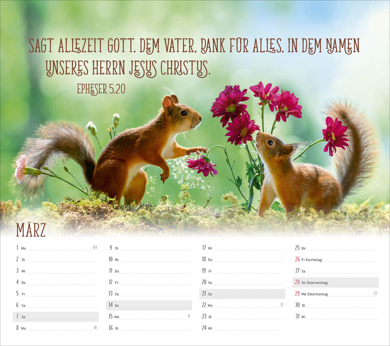 fontis-kalender-du-sorgst-f-r-mich-2027-postkartenkalender-eichh-rnchen image 5