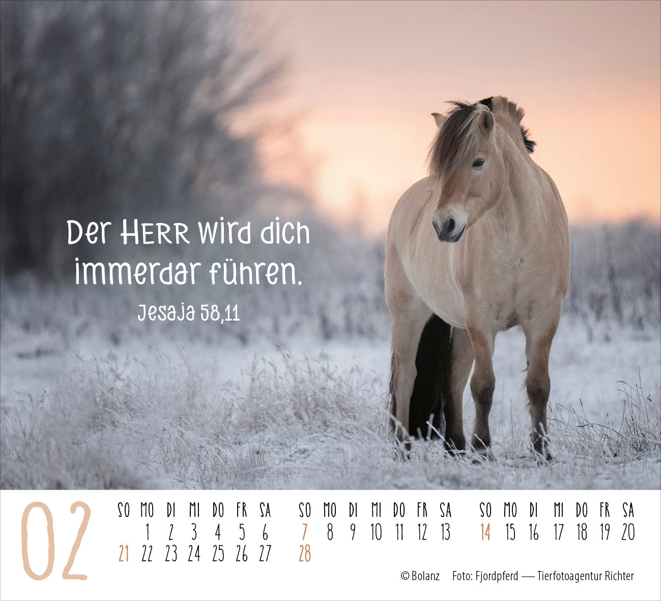 fontis-pferde-2027-minikalender-tischkalender-mit-bibelversen image 4