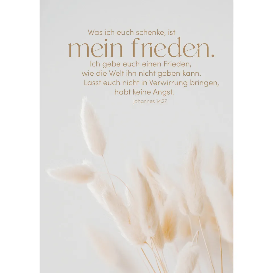 fontis-was-ich-euch-schenke-ist-mein-friede-postkarten-12er image 1