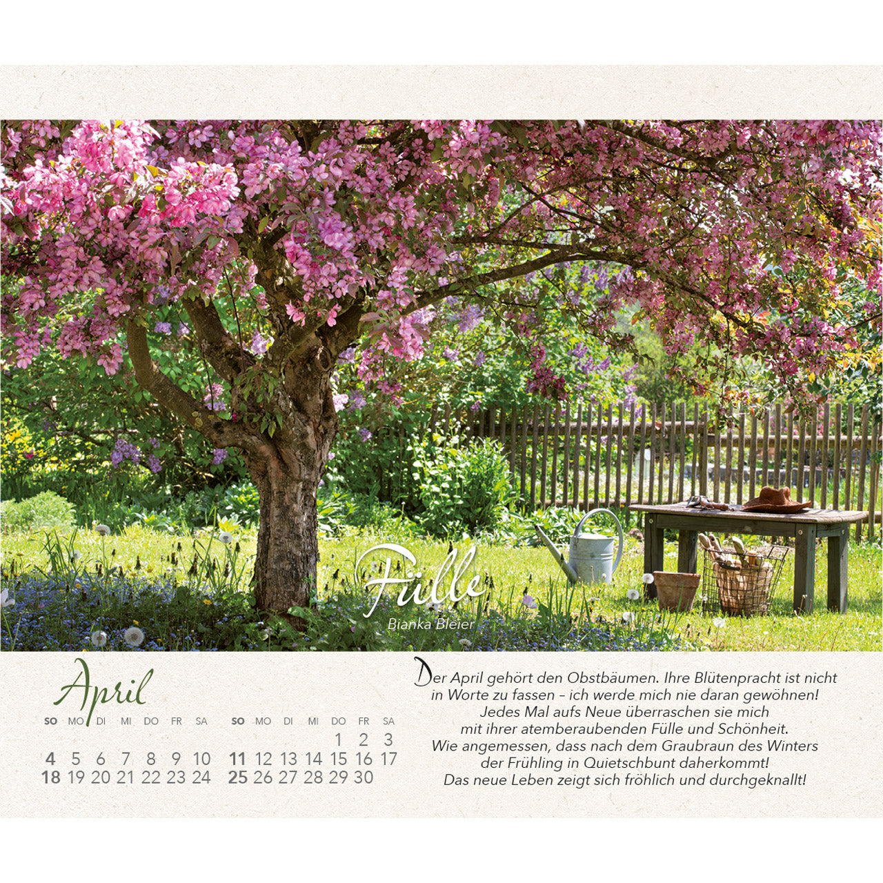 fontis-wo-himmel-und-erde-sich-zart-ber-hren-kalender-2027 image 6