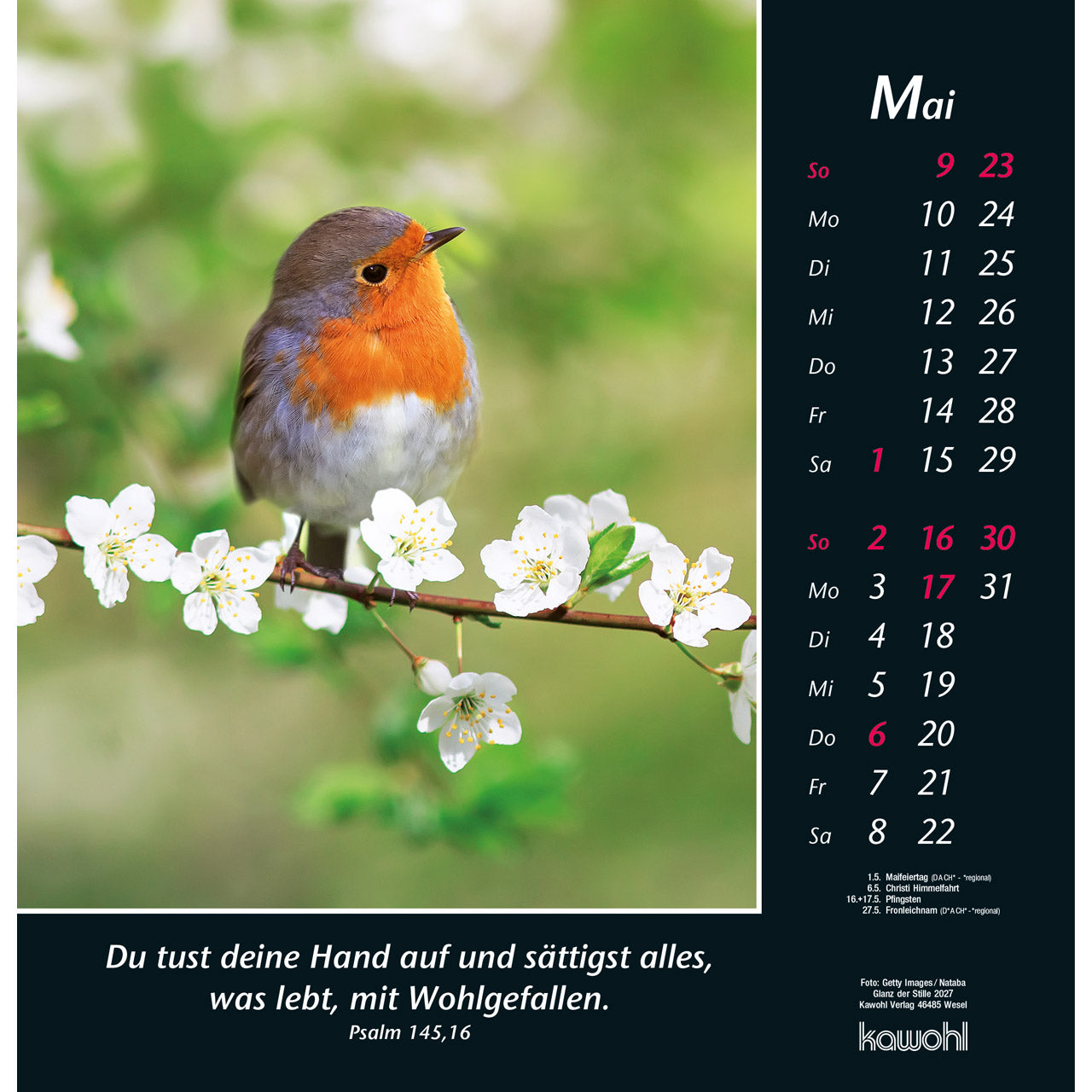 fontis-kalender-glanz-der-stille-2027-wandkalender-psalm image 7