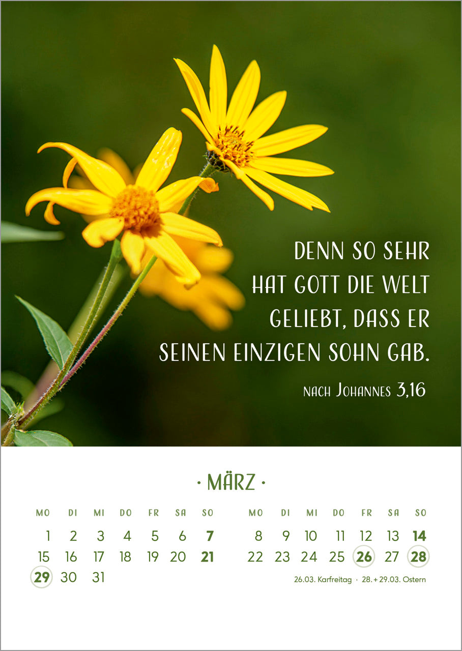 fontis-kalender-zarte-blumengr-e-2027-tischkalender-holzaufsteller image 6