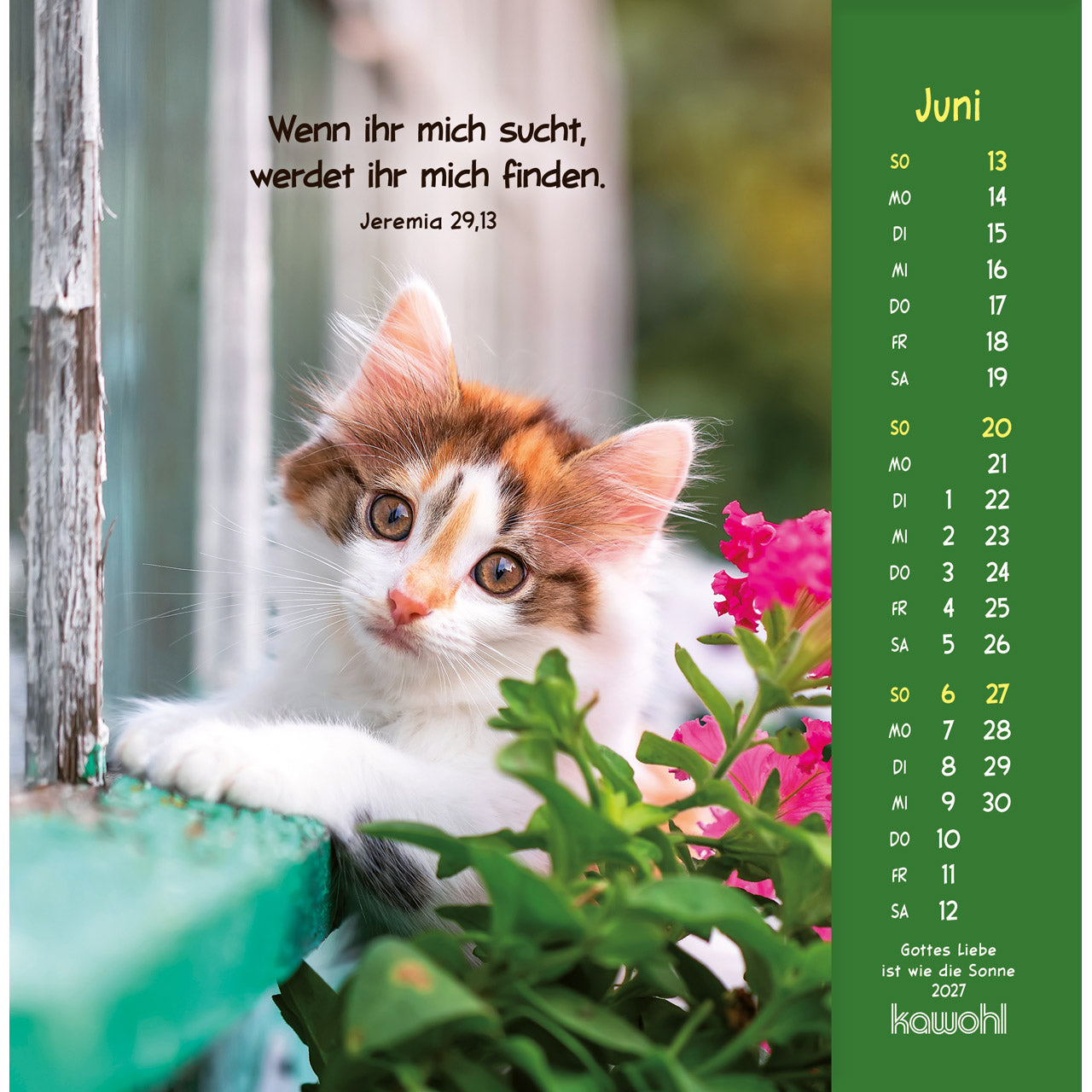 fontis-kalender-gottes-liebe-ist-wie-die-sonne-2027-postkartenkalender-tiere image 8
