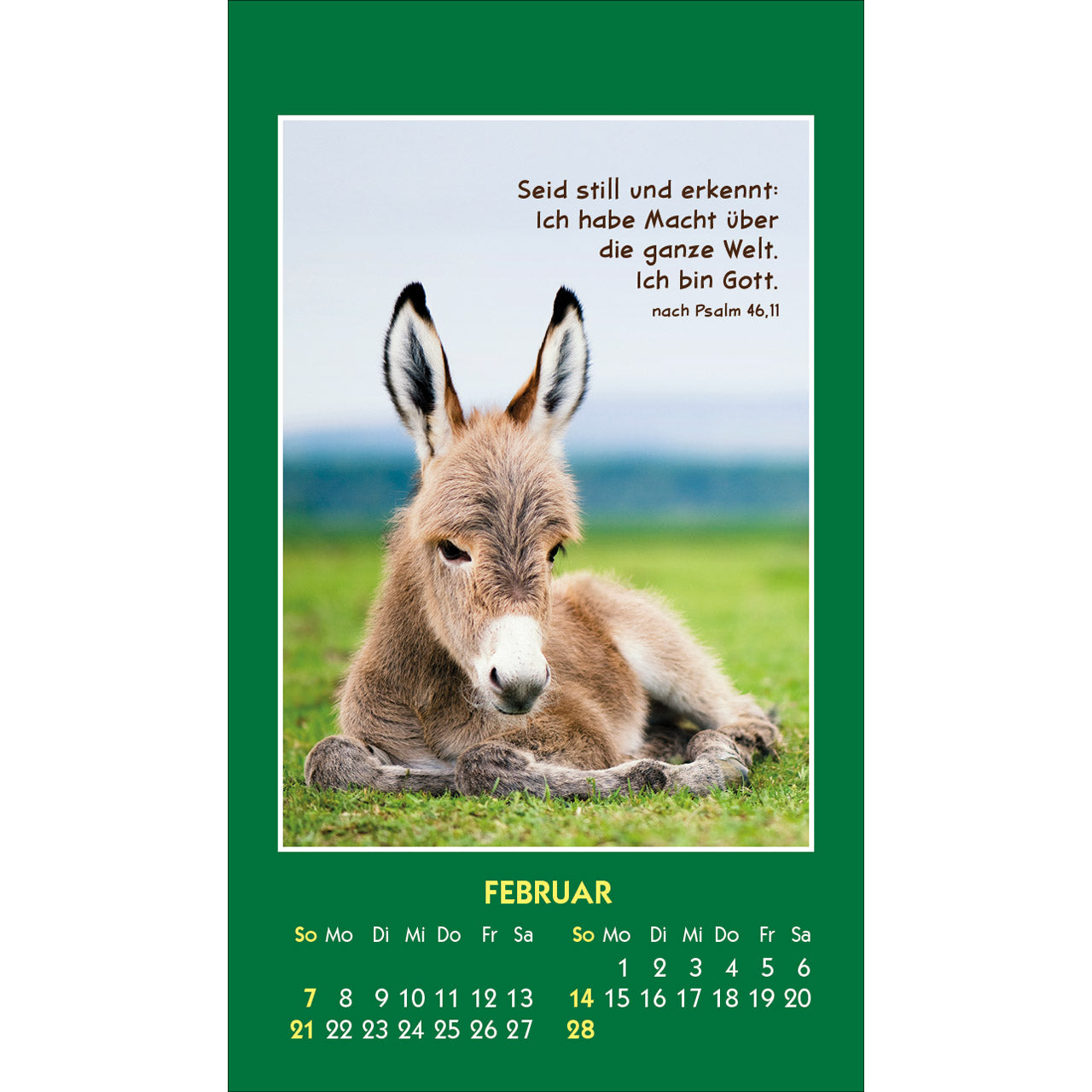 fontis-kalender-hallo-du-2027-aufkleberkalender-tiere image 4