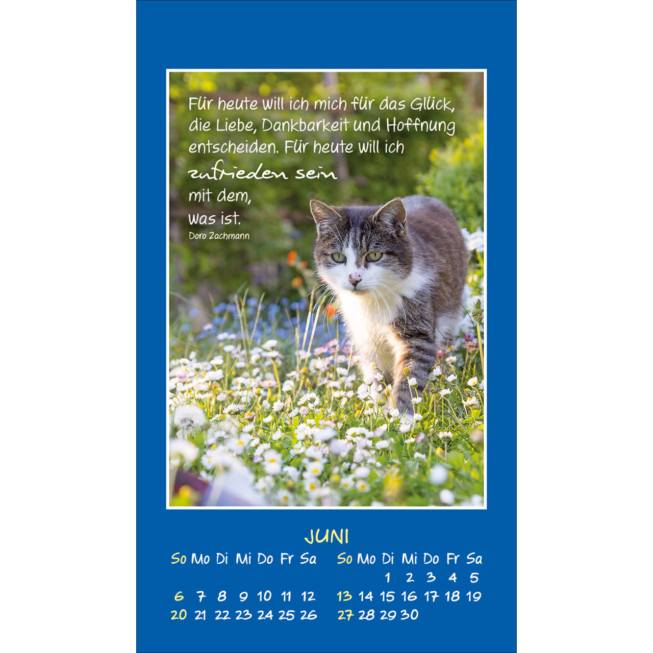 fontis-mini-katzen-tatzen-2027-aufkleberkalender-spiralbindung image 8