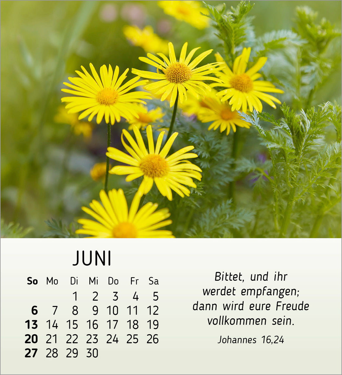 ich-w-nsch-dir-freude-2027-aufstellkalender-blumen image 8