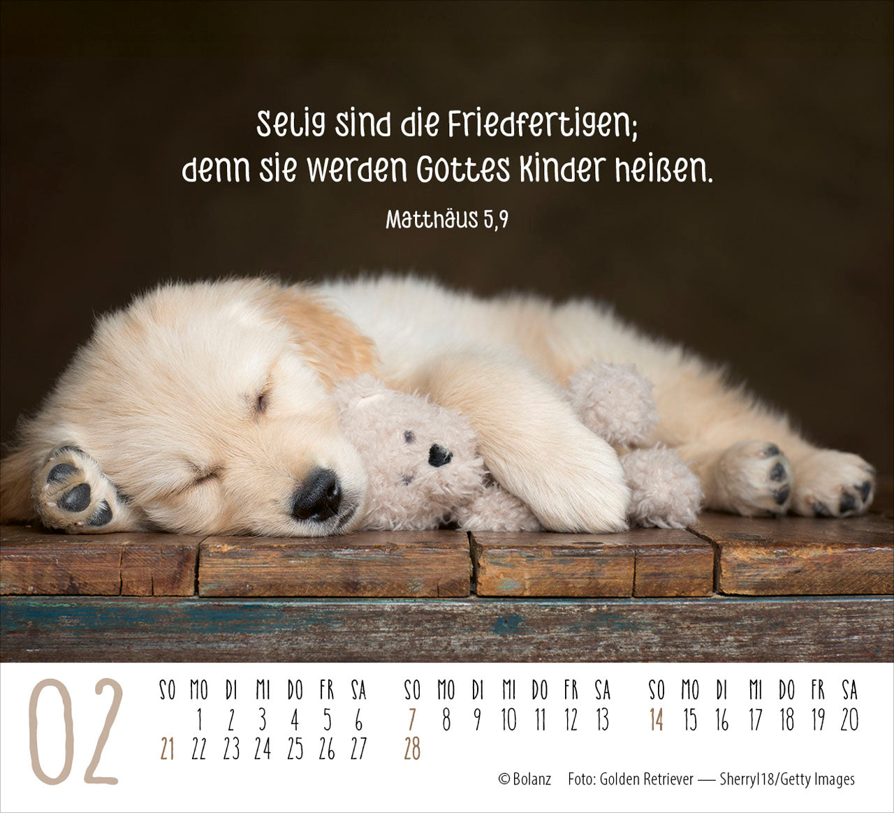 fontis-hunde-2027-minikalender-treue-wegbegleiter-bibelverse image 4