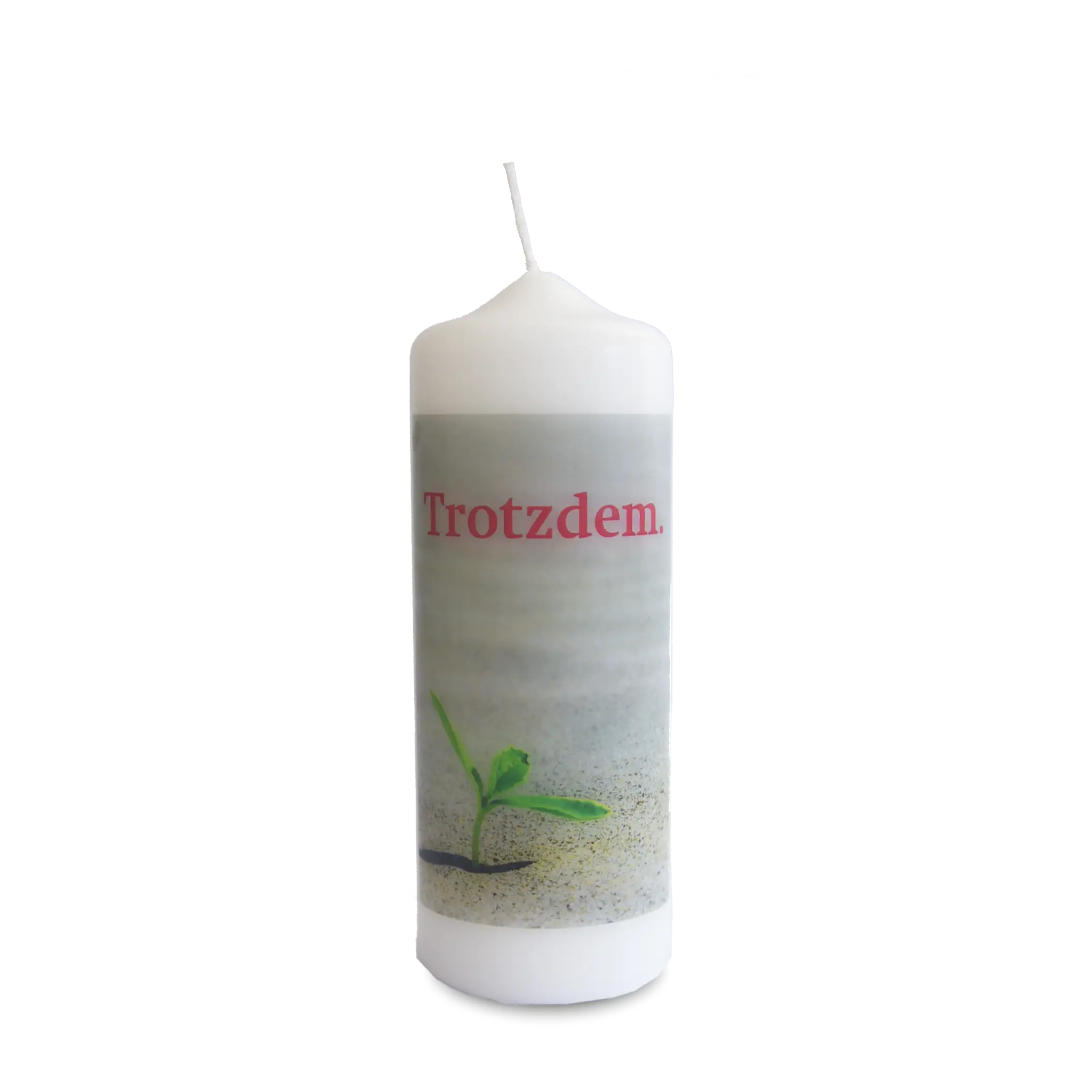 bonifatiuswerk-trotzdem-kerze-wei-6-x-16-5-cm-firmlinge image 1