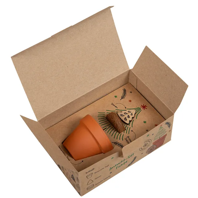 fontis-gesegnetes-weihnachtsfest-anzucht-t-pfchen-fichte-geschenkbox image 1
