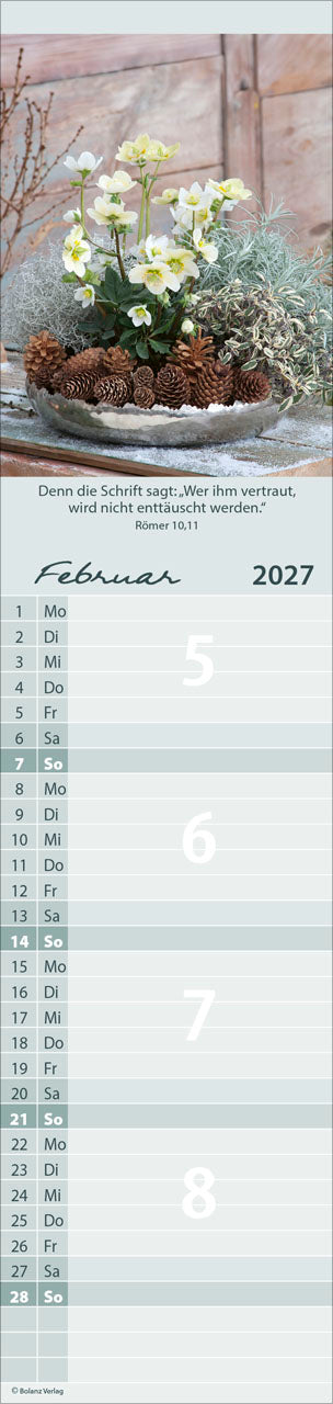 bolanz-von-mir-zu-dir-2027-streifenterminer-blumen-bibelverse image 4
