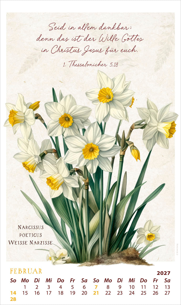 fontis-kalender-schmuckst-cke-des-sch-pfers-2027-posterkalender image 4