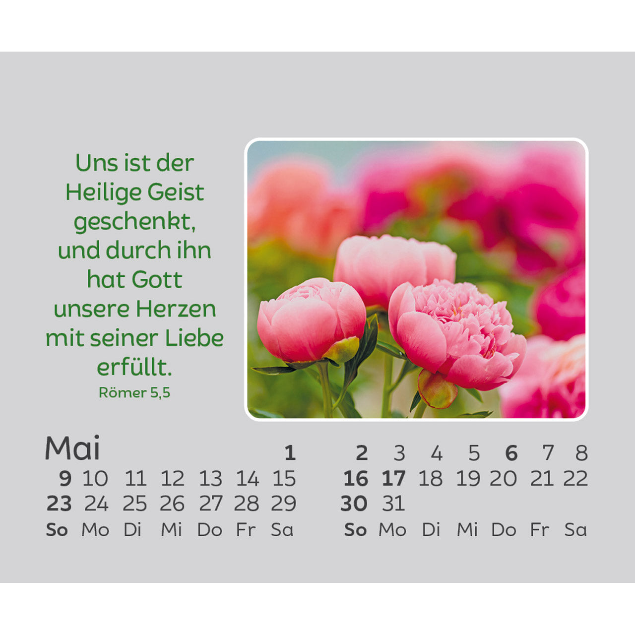 fontis-freude-f-r-jeden-tag-2027-aufstellkalender-mini-blumen image 7