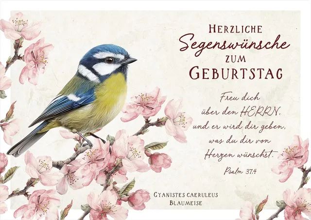 fontis-papeterie-freu-dich-ber-den-herrn-12-postkarten image 1