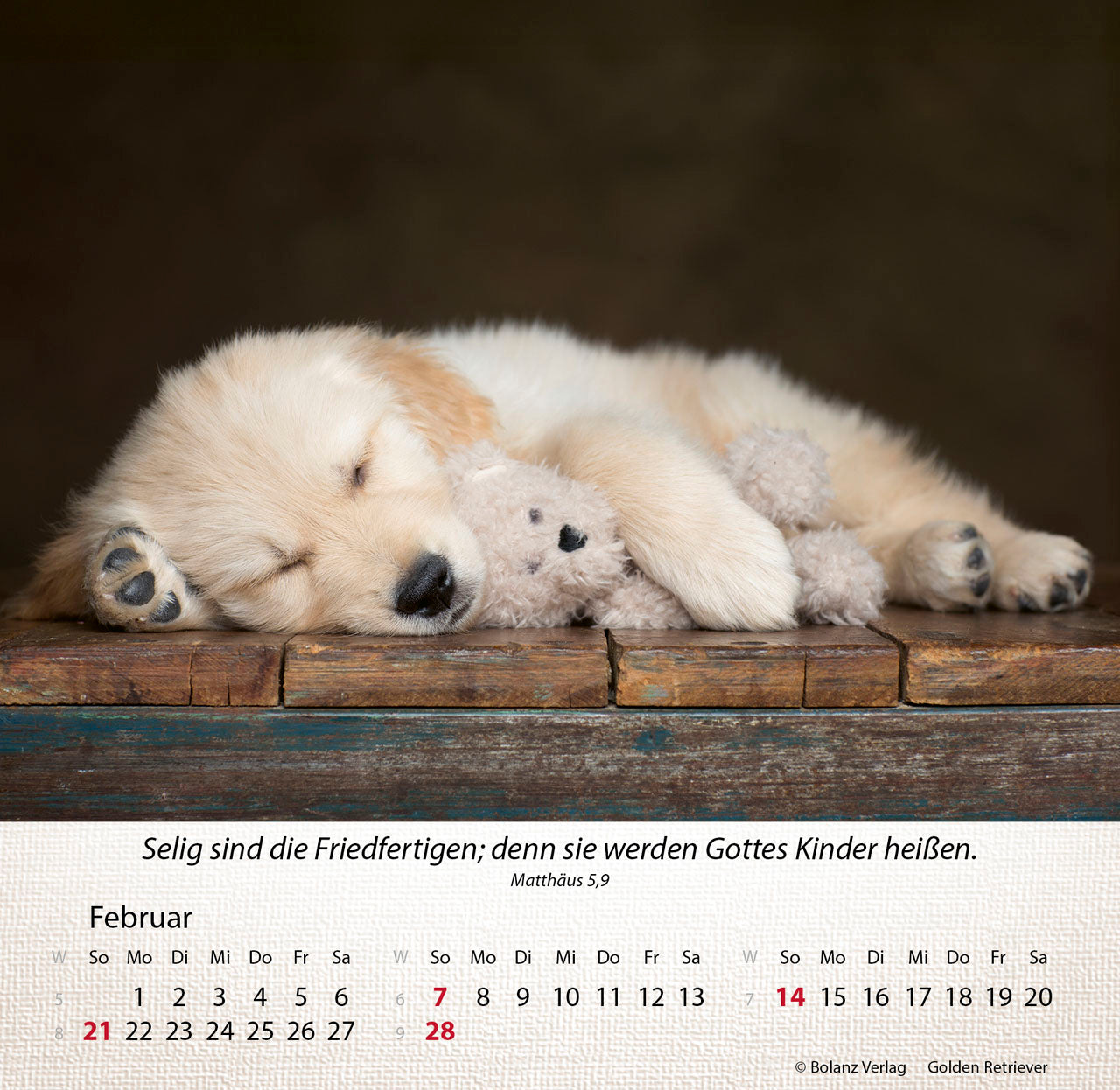 hunde-2027-aufstellkalender-tischkalender-mit-bibelversen image 4