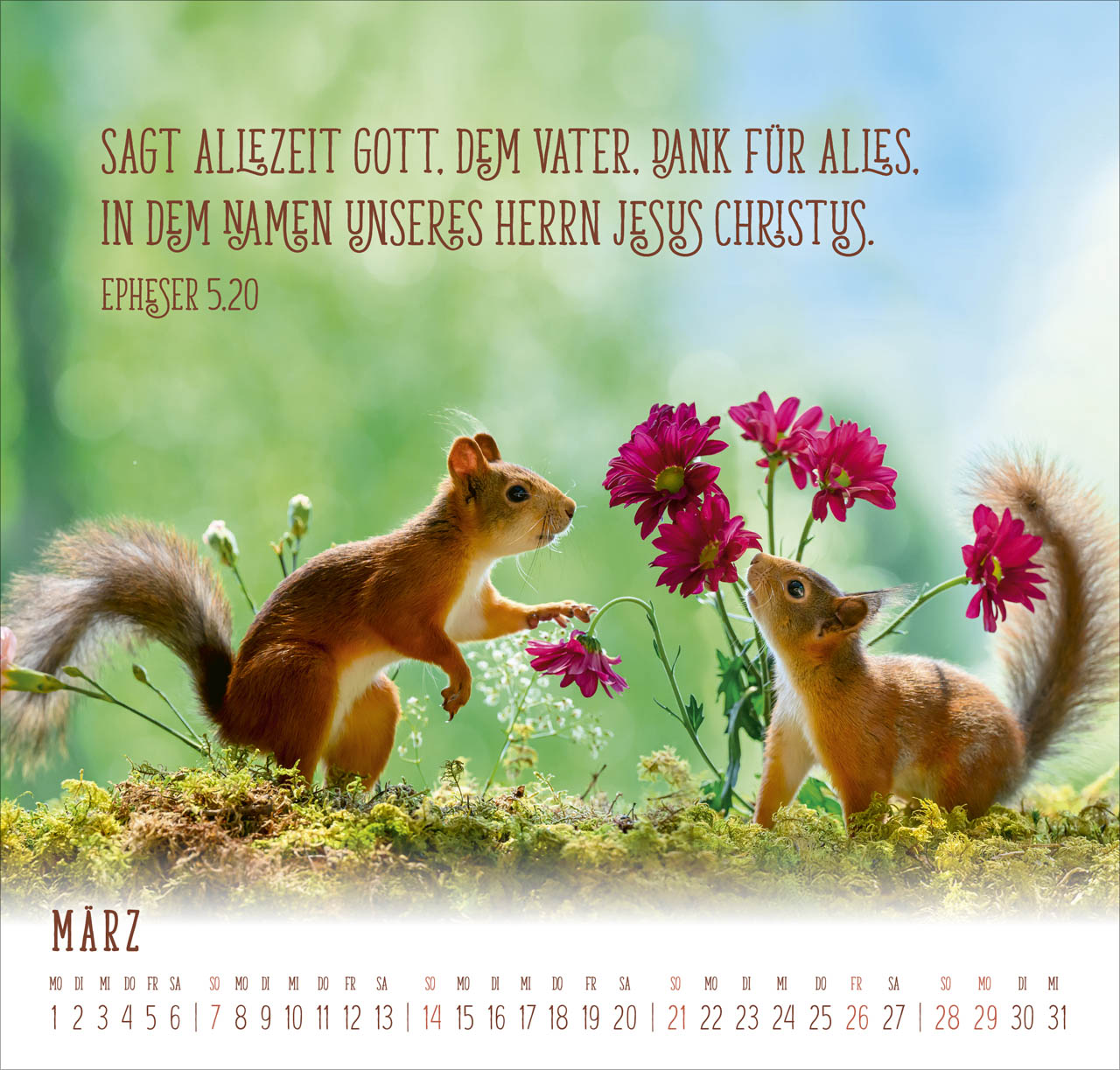 fontis-kalender-du-machst-mich-froh-2027-wandkalender-eichh-rnchen image 5