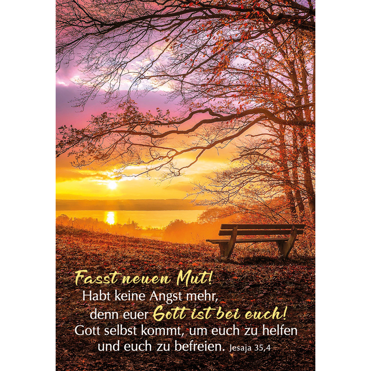 fontis-heute-und-morgen-in-gott-geborgen-karten-box-55-karten image 4