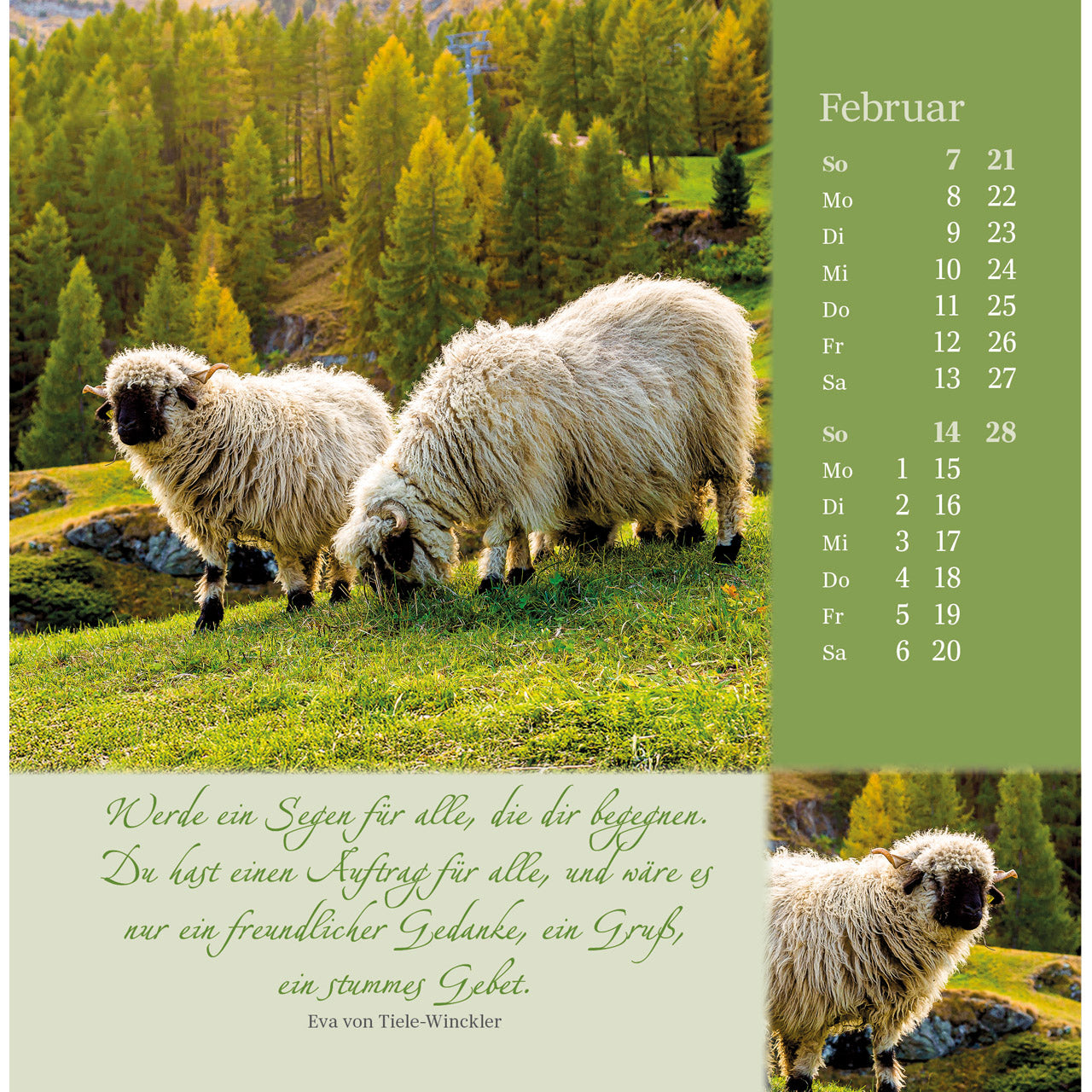 fontis-kalender-sei-beh-tet-und-gesegnet-2027-postkartenkalender image 4