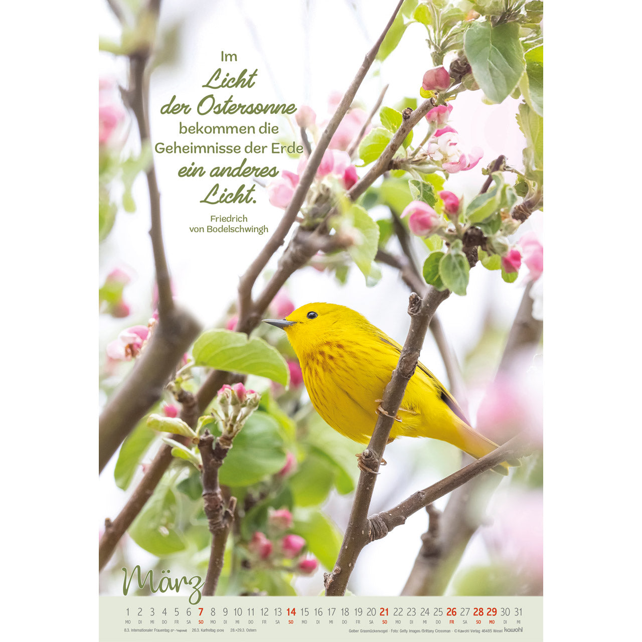 kawohl-befl-gelt-und-getragen-v-gel-2027-wandkalender image 5