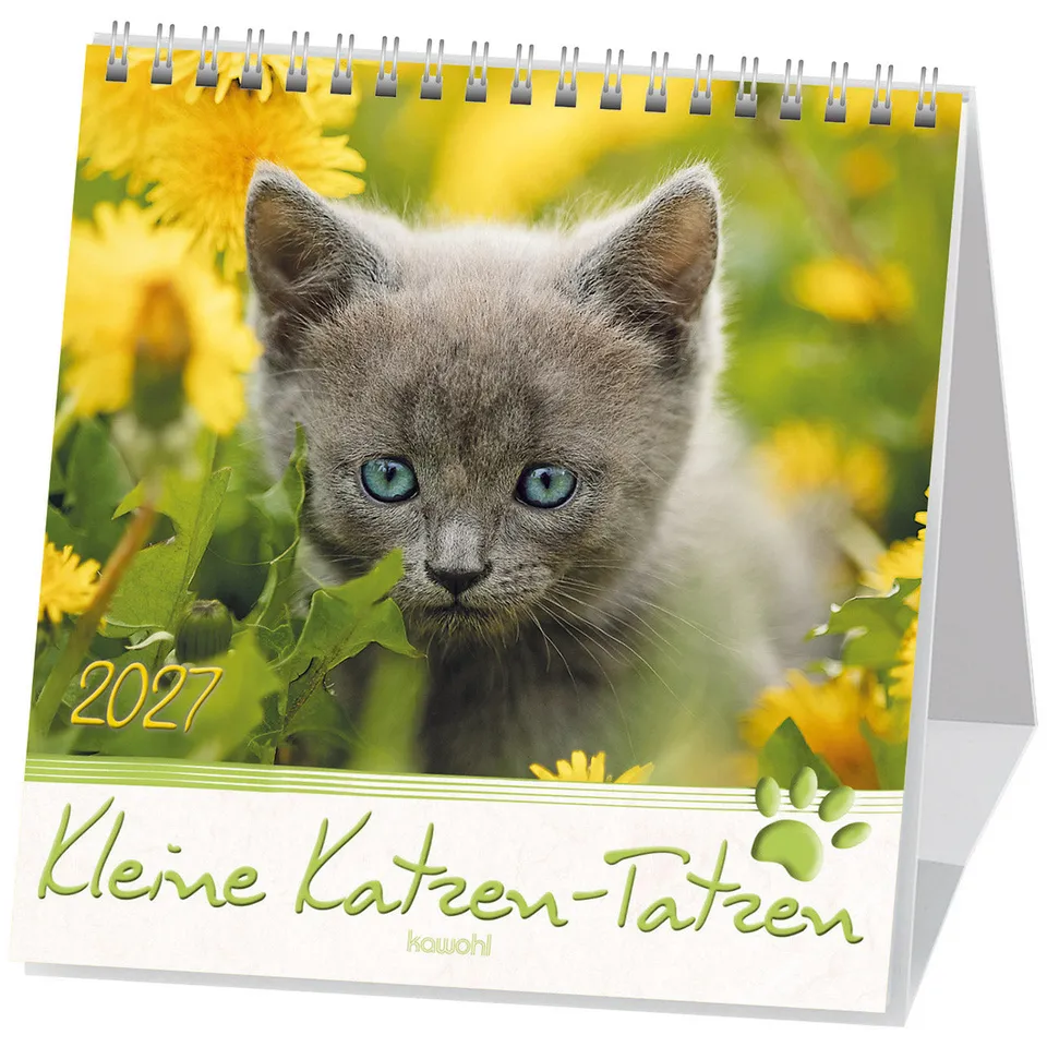 fontis-kalender-kleine-katzen-tatzen-2027-postkartenkalender-16x16-cm image 1