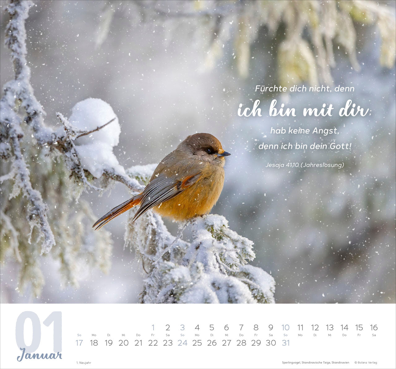 meine-zeit-2027-wandkalender-hoffnung-vertrauen-45x42-cm image 3